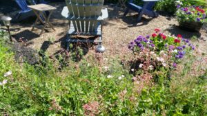 Flowers coming in around the seating area.