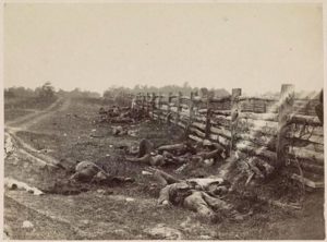 Dead Confederates